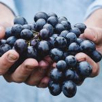 Time for a spring refresh identification